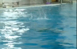 未來可期！廣西9歲女孩跳水上演“水花消失術”