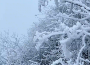 桂林迎来今冬的第一场雪！网友：听说初雪许下的愿望都会实现