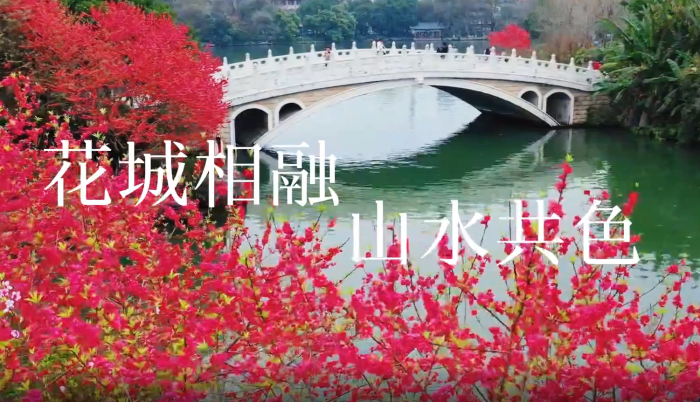 桂林市秀峰区:花城相融 山水共色