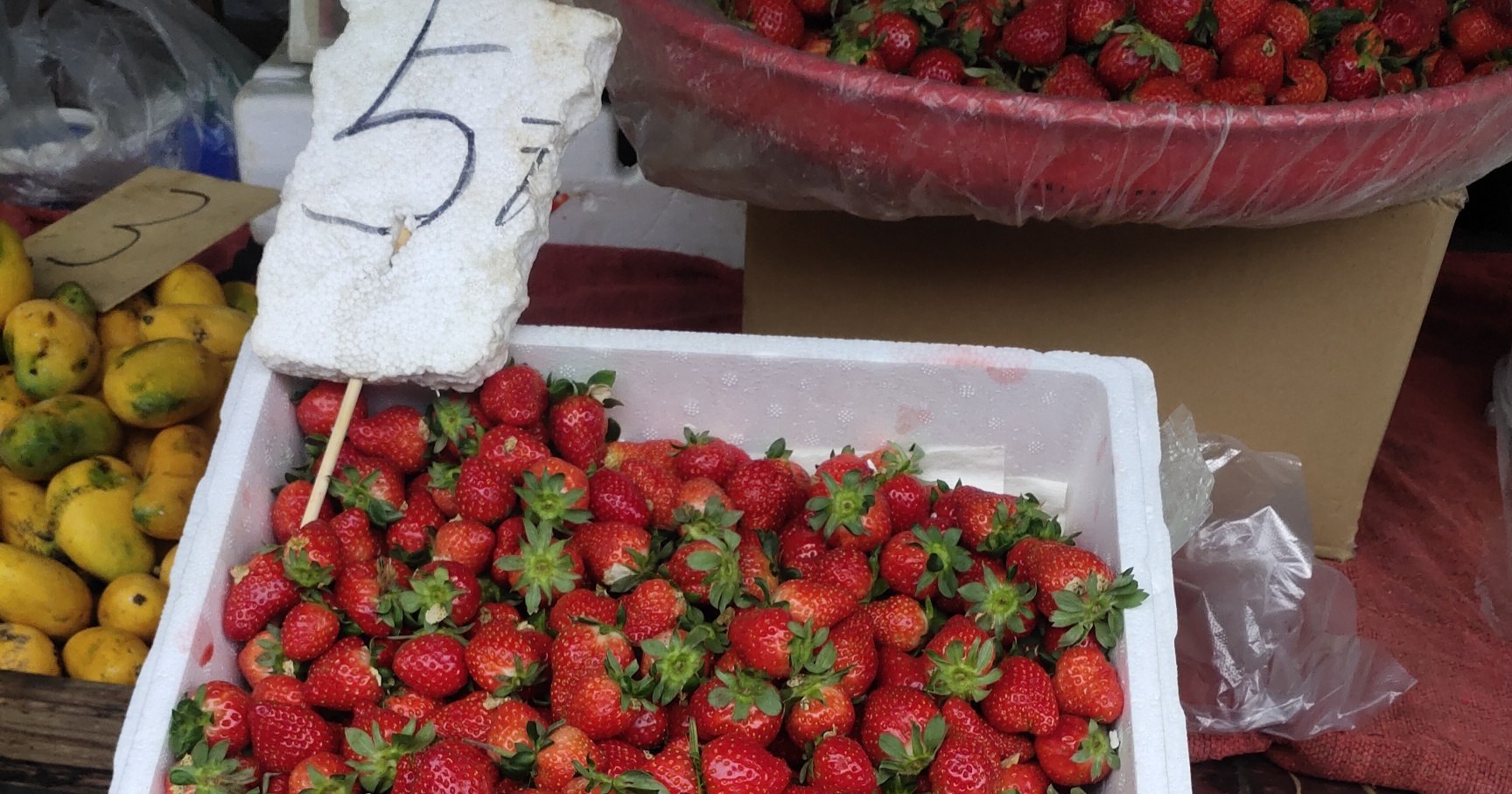 三月的桂林，又迎來幾塊錢吃草莓的自由