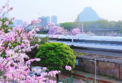 桂林火車站加開重聯列車！涉及南寧、北海、防城港等熱門方向