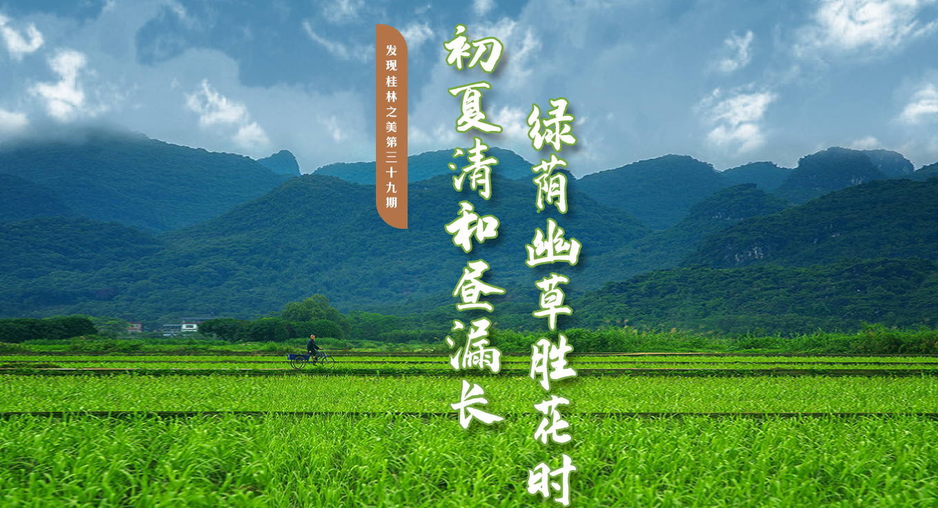 发现桂林之美第三十九期：初夏清和昼漏长 绿荫幽草胜花时
