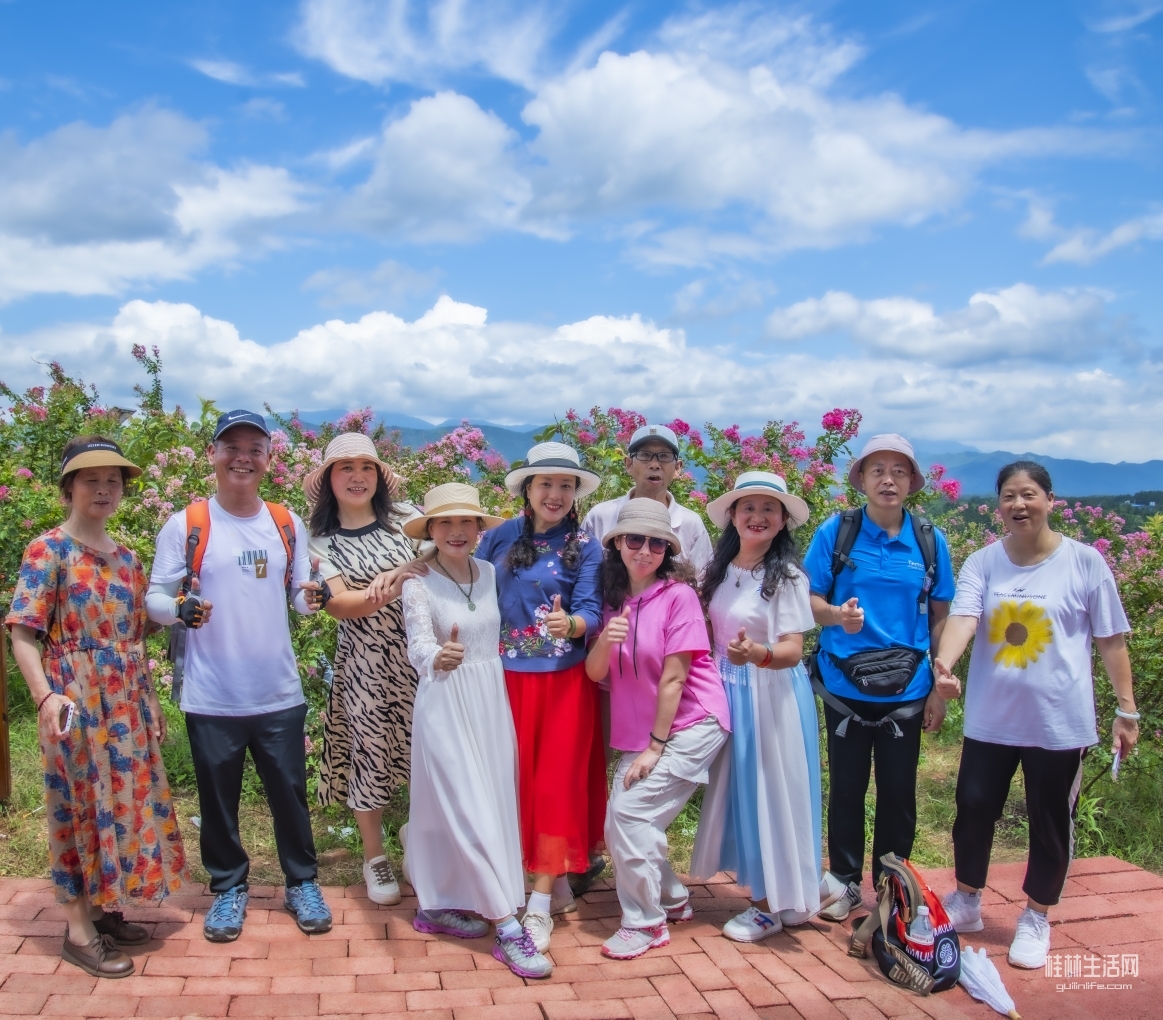 處暑花簇嫣紫薇，觀(guān)賞漫山遍野的紫薇花美景